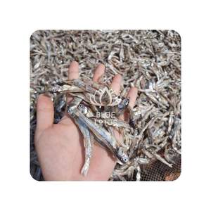 OFERTA ESPECIAL: Anchoas Secas Blue Lotus 2025, Marisco de Sabor Limpio para una Cocina Saludable - Product Image 1