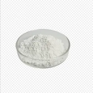High Quality Food Grade CAS 66829-29-6 Starch Sodiilm Octenylsuccinate