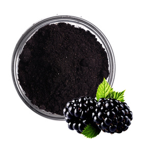 Prix usine Poudre de fruits et légumes naturels Poudre de framboise noire pour boisson Alimentaire Teinture biologique Emballage personnalisable - Product Image 1