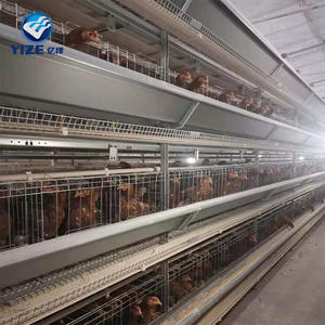 Tavuk kümesi planları ithalat kuş kafesleri tavuk döşeme kafes satılık 4 katlı 4 kapı 128 kafa set başına - Product Image 3