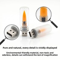 Bougie électronique LED en verre dépoli USB transfrontalière, lumière d'ambiance de bar, veilleuse à flamme simulée, moderne