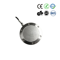 Capteur de pesage circulaire à rayons YBE 200kg-1000kg en acier inoxydable, haute précision, protection IP65 pour applications industrielles