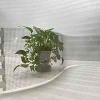 Écran souple flexible ultra-mince polychrome du film HD LED pour l'application extérieure Verre de fenêtres d'affichage de film en cristal pour des ascenseurs