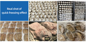 Congelador vertical con ruedas de 1400L, de acero inoxidable, congelador profundo con ruedas, congelación rápida para alimentos y bebidas - Product Image 6