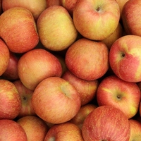 Manzana Roja Fuji Congelada IQF |   Manzanas en Rodajas y en Cubos Certificadas por BRC |   Fruta Congelada a Granel para Jugos y Repostería