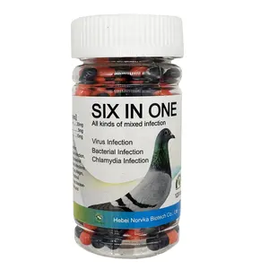Suplemento de saúde intestinal 6 e 1 para pombos de corrida de fábrica