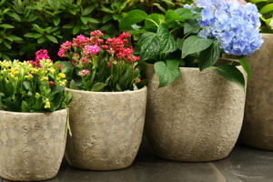 Pots de fleurs modernes classiques en céramique émaillée durables avec drainage pour plantes d'intérieur et bonsaïs - Vente en gros pour usage au sol en jardin - Product Image 3