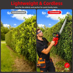 Taille-haie sans fil 300 mm, batterie lithium, électrique, double ciseaux, lames remplaçables, coupe-arbustes de jardin - Product Image 2