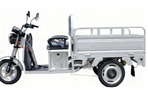 Tricycle cargo imperméable, tricycles électriques résistants à l'usure, livraisons sur courte distance, véhicules pour opérations logistiques - Product Image 2