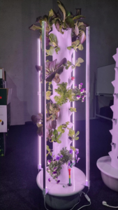 Grow <b>Light</b> for Indoor <b>Plants</b> - Upgraded Version 18 /26W LED with Full & Red Blue - Product Image 6