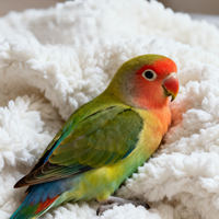 Nichoir d'hiver douillet et chaud pour oiseaux, en peluche épaisse anti-gel, nid suspendu, grotte de couchage en coton doux et amovible pour cage à oiseaux avec crochet