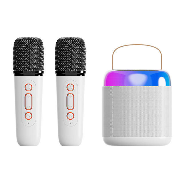 BMG Y2 Home Singer Wireless Mini Speaker Stereo Karaoke Speaker Portable Speaker with Microphone