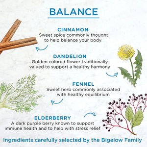 Thé aux fruits personnalisé naturel sans caféine soutien santé entière thé à la cannelle et à la mûre - Product Image 4