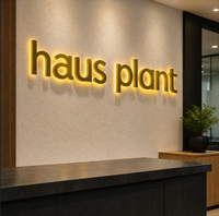 Lettres en métal 3D personnalisées rétroéclairées par LED pour hôpitaux et entreprises, étanches IP65, publicité extérieure pour devantures de magasins
