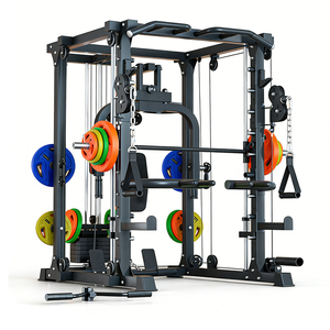 Máquina de entrenamiento integral para pájaros pequeños, máquina de poleas cruzadas, entrenador funcional, soporte para sentadillas, todo <span class=keywords><strong>en</strong></span> uno, <span class=keywords><strong>polea</strong></span> doble ajustable - Product Image 2