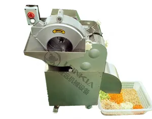 Lonkia Big Capacity Vegetables Fruit Processing Machine Potato Carrot Ginger Pepper Cub Slicing Dicing Cutting Machine