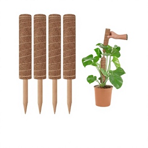 Varillas Modernas para Plantas CoCo de 42 Pulgadas, Flexibles, Accesorios para Plantas Trepadoras de Interior y Exterior, Uso Doméstico - Product Image 2