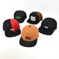 Aung 크라운 모자 도매 자수 Snapback 모자/주문 Snapback 3d 자수 모자