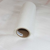 Película PET para Transferencia de Calor DTF, 30cm 60cm, Hojas de Película Imprimible DTF, Rollo de Película de Impresión Mate de una Sola Cara