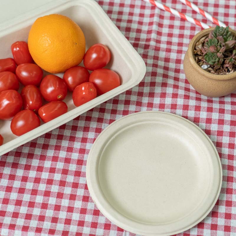 Papier de Bagasse Pulpe Plaque Compostable Canne À Sucre 9 "Assiette Ensembles