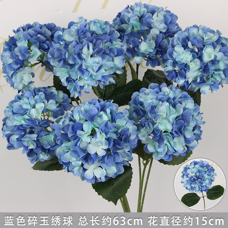 Hortensia bleu avec feuilles