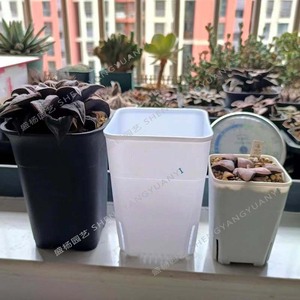 Pot de fleurs carré en plastique Sheng Yang avec trou de drainage pour plantes succulentes, usage domestique GYF-001 - Product Image 3
