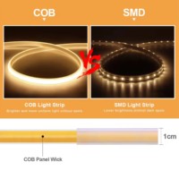 Bande lumineuse LED COB 220V avec interrupteur, 288LED/M, étanche IP65, adaptée à l'éclairage du salon, de la cuisine et du jardin