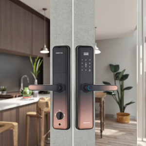 <span class=keywords><strong>2025</strong></span> nhà máy mới có giá cửa an ninh bằng gỗ với khóa graffiti thông minh Thẻ quẹt mật khẩu truy cập cho căn hộ - Product Image 1