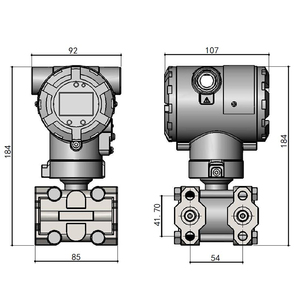 स्टेनलेस स्टील एल्यूमीनियम मिश्र धातु दबाव ट्रांसमीटर xyzk3151 ने गैस IP65-67 के लिए शेनक्सी अंतर दबाव ट्रांसड्यूसर बनाया - Product Image 4
