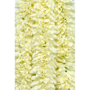 Guirnalda de Flores Artificiales Blancas, Decorativa, Colgante, para Bodas, Festivales, Templos y Eventos - Product Image 2
