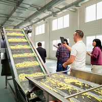 Volledig automatische lijn voor het verwerken van diepvriesfrieten & fruit, inclusief snij-/was-/friteuse voor het maken van snack-aardappel- en cassavechips.