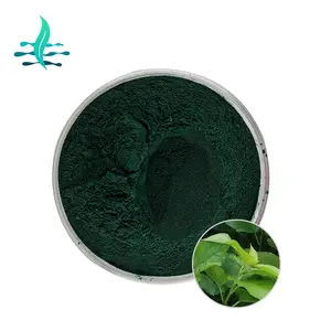 Herbal Extract Chlorophyll Extract Sodium Copper Chlorophyllin Powder