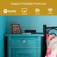 A30+ 30W X 2 WiFi Mini Stereo Amplifikatör Kablolu Hoparlörler için Kompakt Gümüş Amplifikatör.