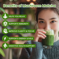 Matcha biologique de qualité cérémonielle OEM pour la concentration, l'énergie, le système immunitaire et la digestion, matcha aux champignons