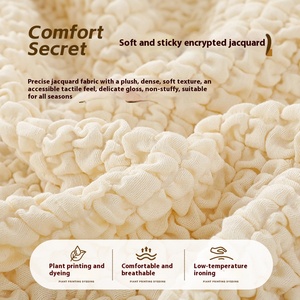 Kem Phong Cách Chống-Mèo Scratch Đàn Hồi Sofa Slipcover Thiết Lập Hoàn Chỉnh Một Mảnh Ins Bong Bóng Dệt Bìa Bảo Vệ Phong Cách Cho Ghế Sofa - Product Image 4