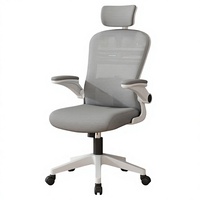 Chaise de bureau ergonomique avec soutien lombaire, hauteur réglable, fonction pivotante - Design minimaliste moderne, matériau en maille