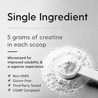 Nutrition sportive, créatine monohydratée micronisée pure, poudre de qualité supérieure, pré-entraînement, post-entraînement, portion de 5 g, soulagement du stress, immunité