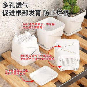 Pot de fleurs carré en plastique Qinfeng avec plateau de drainage pour plantes succulentes, intérieur/extérieur - Product Image 5