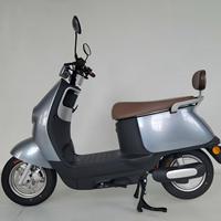 Moto électrique certifiée EEC pour adultes, deux roues, batterie lithium-plomb-acide, homologuée pour la route en UE, scooter électrique