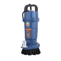 Pompe à eau submersible 1500W, hauteur de refoulement 20m, débit élevé 10m³/h, sortie 2/2,5 pouces, 220V monophasé, pompe d'irrigation agricole