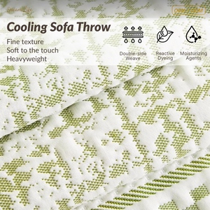 Manta de sofá de lujo refrescante DL, de chenilla y seda helada, para una transformación <span class=keywords><strong>instant</strong></span>ánea del sofá, tamaño y logotipo personalizados para el hogar y hoteles - Product Image 2