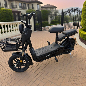 <span class=keywords><strong>Le</strong></span> <span class=keywords><strong>Petit</strong></span> <span class=keywords><strong>Prince</strong></span> Vélo électrique de grande qualité et à bas prix E-bike 48V Véhicule électrique à bas prix Autres vélos électriques - Product Image 1