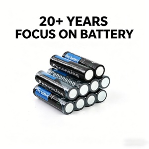 Batteria a Secco Zinco-Carbone <span class=keywords><strong>R03</strong></span> Um4 <span class=keywords><strong>AAA</strong></span> da 1.5V Economica per Telecomando TV - Product Image 3