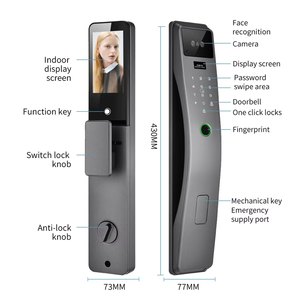 Smart Face Recognition Door <b>Lock</b> With Wi-Fi Cloud Storage Stainless Steel Grade C Security For Steel Door - Product Image 3