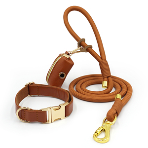 Evcil Hayvan Hediye Fikirleri 2025 Moda Köpek Tasması Koyu Seri Polyester Halat Köpek Tasması ve Kayışı Deri Köpek Dışkı Poşeti Tutucu Dağıtıcı - Product Image 5