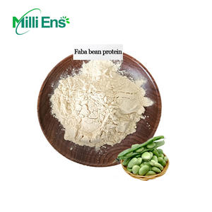 さまざまなファバビーンプロテインパウダー - Product Image 3