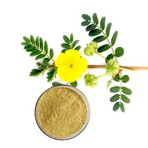 Натуральный экстракт Tribulus Terrestris, порошок, экстракт Terrestris, порошок сапонина для пищевых добавок