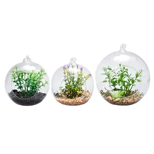 Vase en verre de Terrarium suspendu, avec plante artificielle succulente