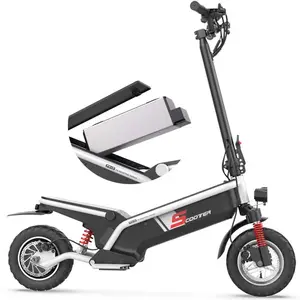 จีนราคาถูก Adult10นิ้ว E Roller เดิน Scoter 500W 2ล้อไฟฟ้าสกู๊ตเตอร์ขายส่ง