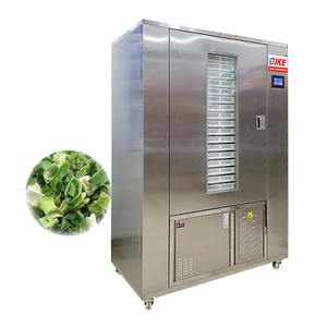 Ike trái cây và rau khô Tủ deshidratador thực phẩm bơm nhiệt CE thực phẩm dehydrator thép không gỉ cung cấp 220V 2 năm 160